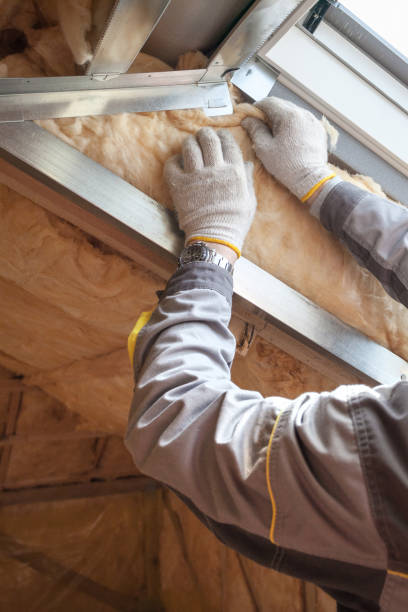 Types of Insulation We Offer in Oak Hill, TN