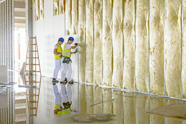 Best Spray Foam Insulation in Oak Hill, TN
